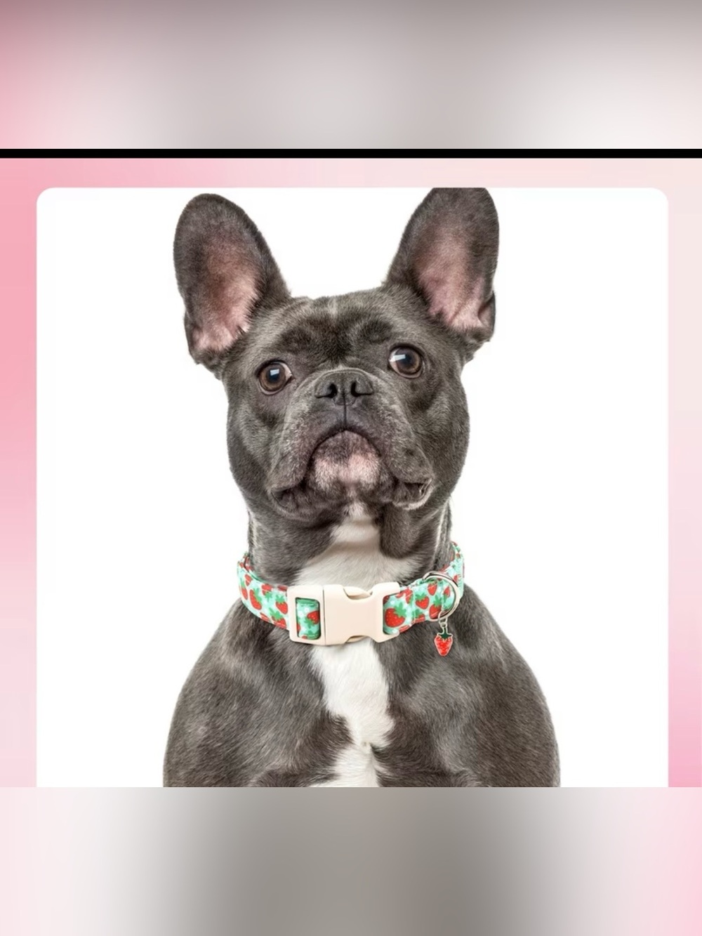 Strawberry Print Dog Collar - Mint Green. Sizes M & L - Picture 2 of 5